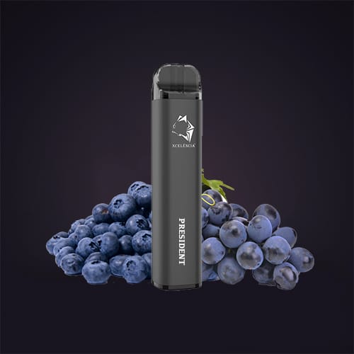 GUNNPOD PRESIDENT – 2000 PUFFS