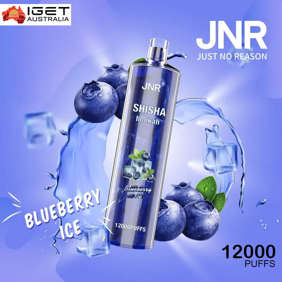 JNR SHISHA HOOKAH BLUEBERRY ICE – 12000 PUFFS